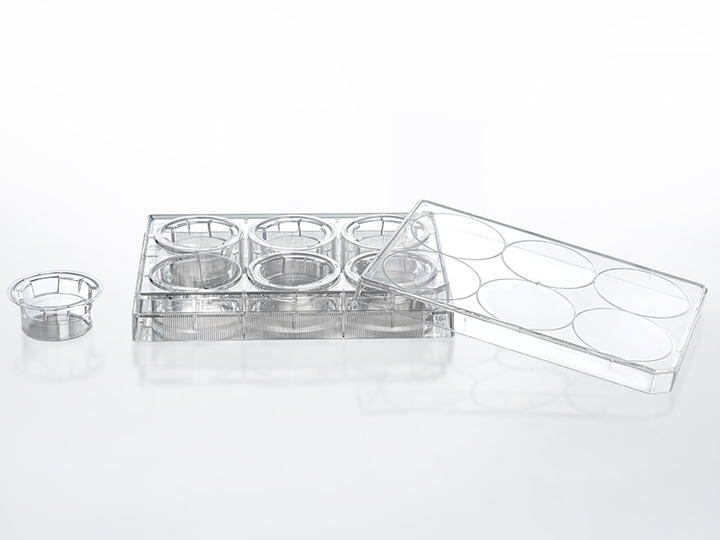 內(nèi)頁720×540 拷貝2.jpg