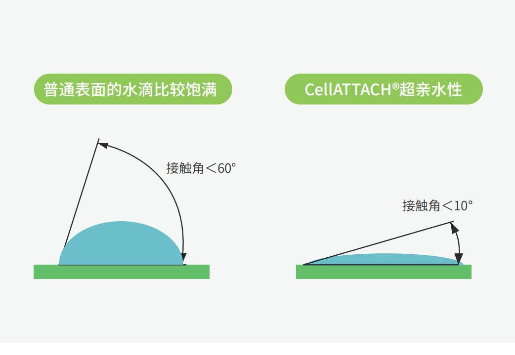 獨(dú)特的超親水表面處理技術(shù)，能為細(xì)胞提供更好的吸附性，促進(jìn)細(xì)胞快速貼壁生長(zhǎng)，提高產(chǎn)量