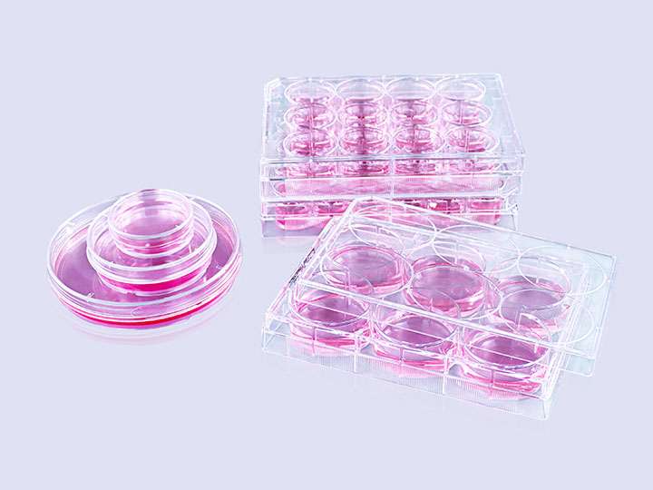 內(nèi)頁(yè) 2.jpg