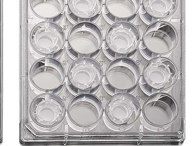 配有清晰的數(shù)字孔標識，便于區(qū)分識別，方便記錄