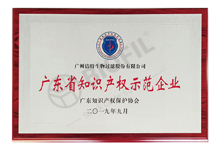 廣東省知識(shí)產(chǎn)權(quán)示范企業(yè)