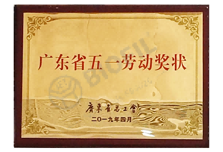 廣東省五一勞動(dòng)獎(jiǎng)